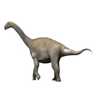 Zby Atlanticus е динозавър Сауропод от късния юрски период. Печат на плакат от Nobumichi Tamura Stocktrek Images