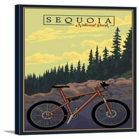 Sequoia, Национален парк - Сцена на планински велосипед - Ride the Trails - Press Art Press Works